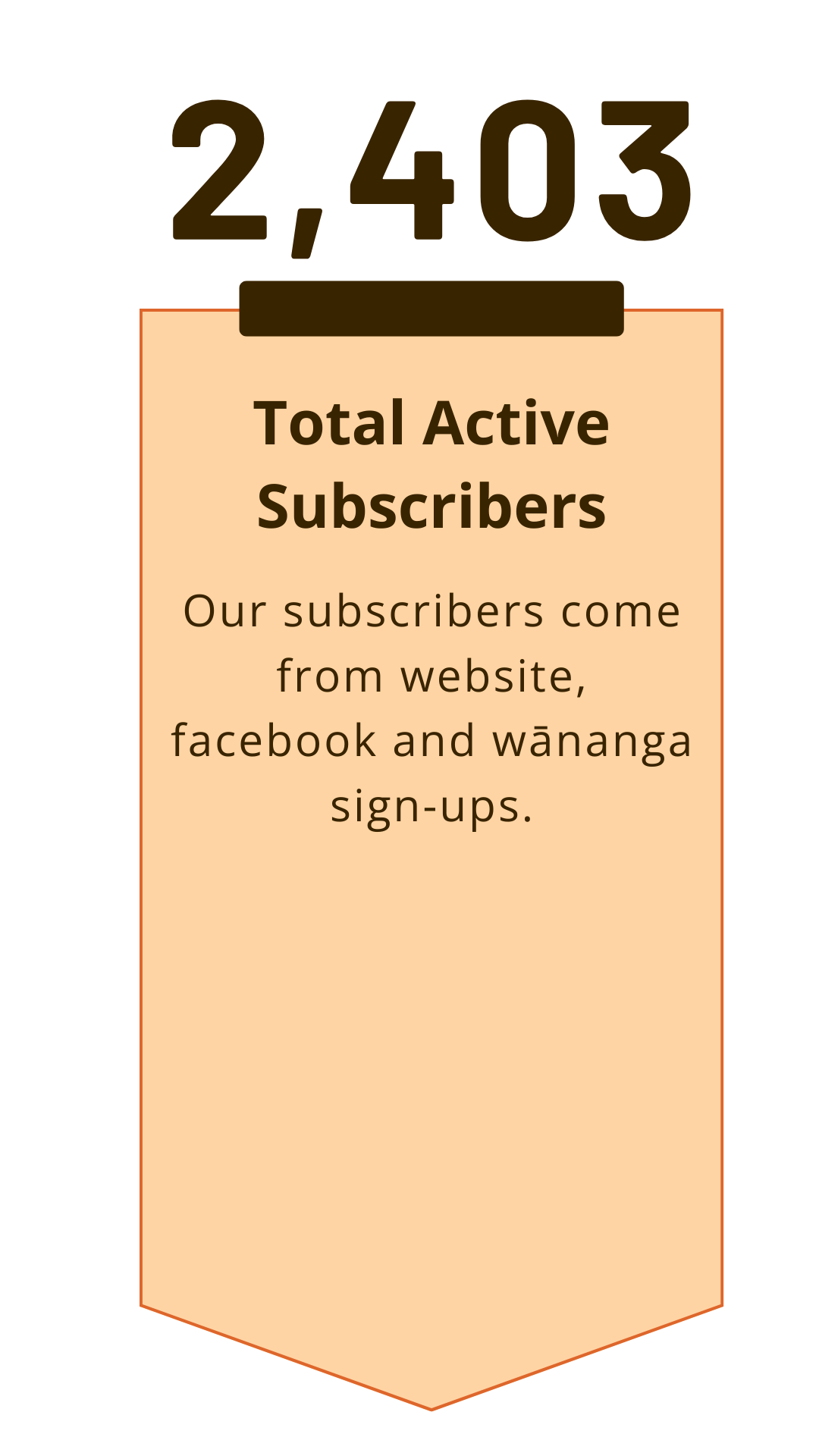 Active subscribers stats