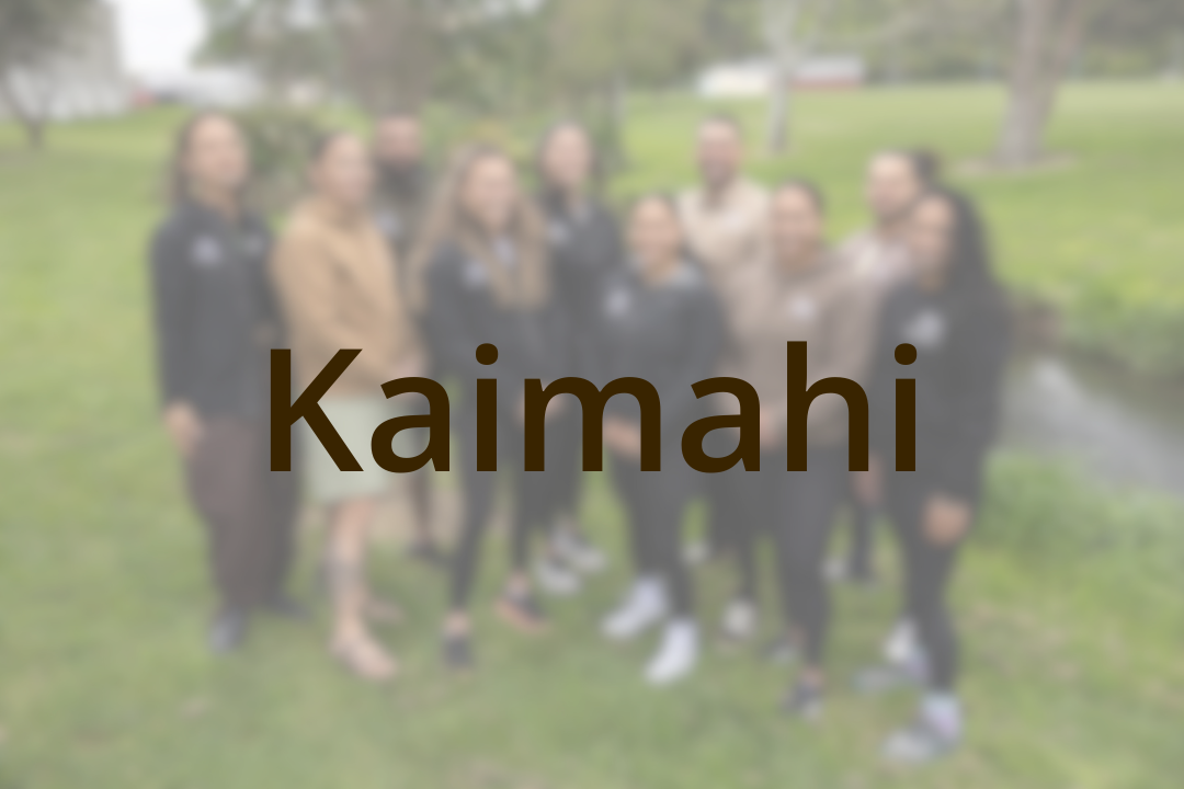 kaimahi toi tangata